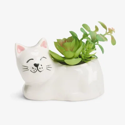 John Lewis John Lewis Succulent in Ceramic Cat Pot