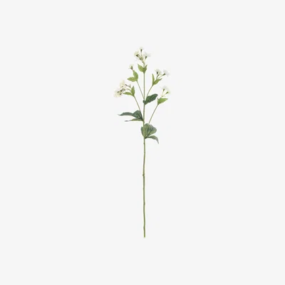 John Lewis Floralsilk Artificial Astrantia Spray, White