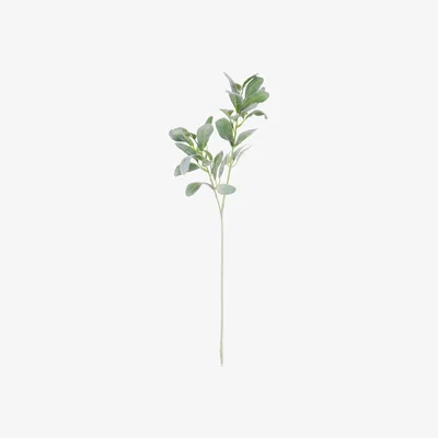 John Lewis Floralsilk Artificial Lambs Ear Spray, Grey/Green