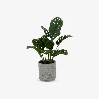 John Lewis John Lewis & Partners Artificial Monstera in Ceramic Pot