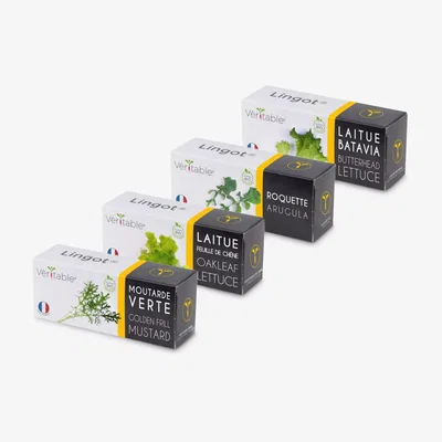 John Lewis Veritable Indoor Garden Salad Leaves, Set of 4