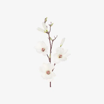 John Lewis Floralsilk Artificial Magnolia Spray