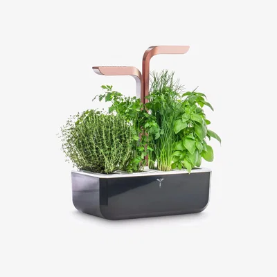 John Lewis Veritable Indoor Garden Smart Edition 4 Slot Herb & Plant Holder, Black/Copper