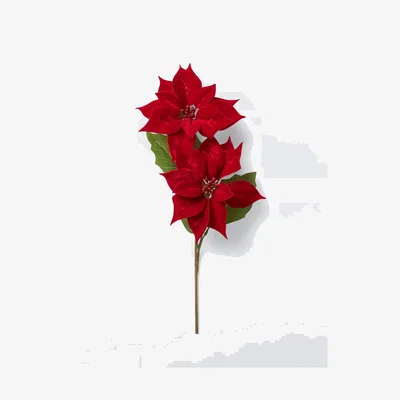 John Lewis John Lewis Double Poinsettia Stem, Red