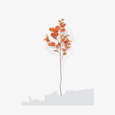 John Lewis Everlands Autumn Blossom Stem, Pale Orange