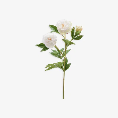 John Lewis Peony Artificial Single Stem