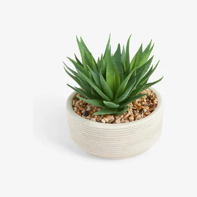 John Lewis John Lewis Artificial Large Succulent & Concrete Pot
