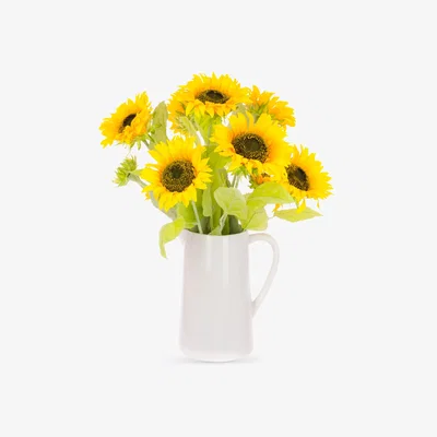 John Lewis Floralsilk Artifical Sunflowers in Large Jug