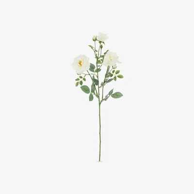 John Lewis Floralsilk Artificial Rose Spray, White