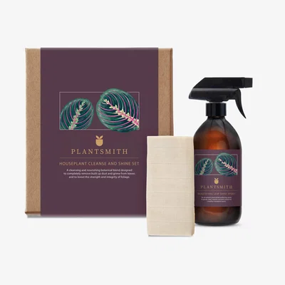 John Lewis Plantsmith Leaf Shine Gift Set