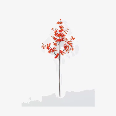 John Lewis Everlands Autumn Blossom Stem, Orange