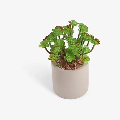 John Lewis John Lewis Artificial Succulent & Concrete Pot