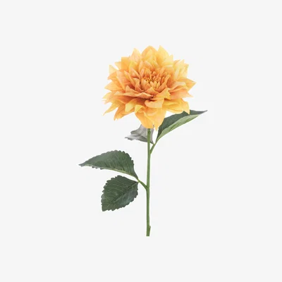John Lewis Floralsilk Artificial Juliet Dahlia, 61cm, Yellow