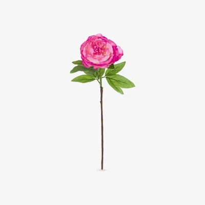 John Lewis Floralsilk Artificial Garden Peony, Pink