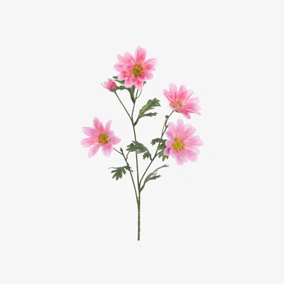 John Lewis Floralsilk Eco Artificial Gazania Daisy Spray, 66cm, Pink