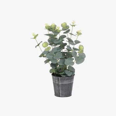 La Redoute 34cm Artificial Eucalyptus In Tin Pot