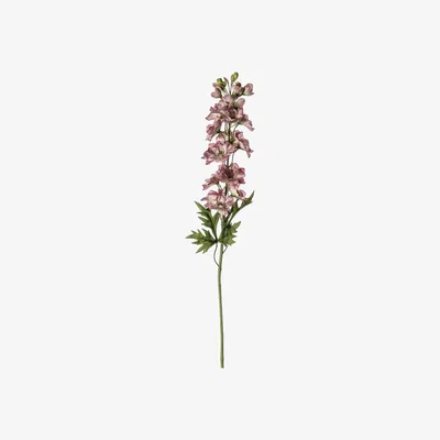 La Redoute Pack of 3 Delphinium Stem
