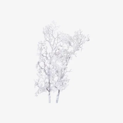La Redoute Pack of 3 Artificial Snowy Branch