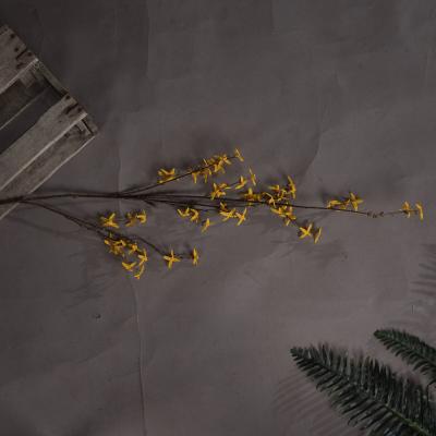 La Redoute Pack of 5 Forsythia Stems - 108cm