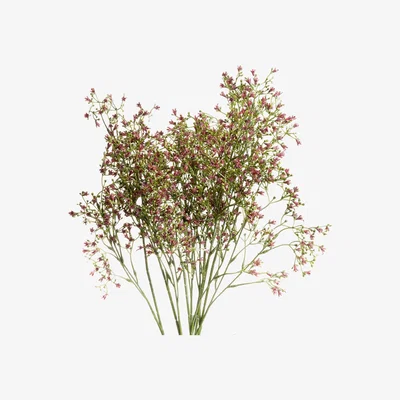 La Redoute Pack of 5 72cm Purple Wildflower Small Spray