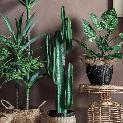 La Redoute 114cm Desert Cactus