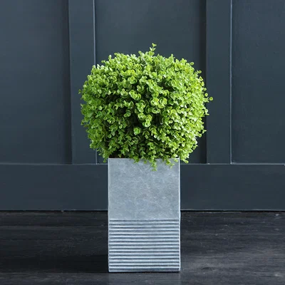 La Redoute 60cm Ball Boxwood Topiary in Metal pot