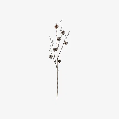 La Redoute Pack of 6 Pine Cone Stems