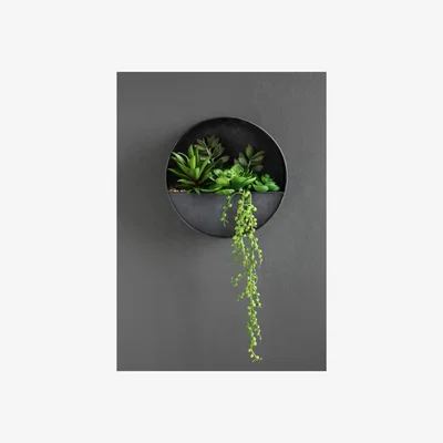 La Redoute 23.5cm Artificial Succulents in Metal Wall Planter