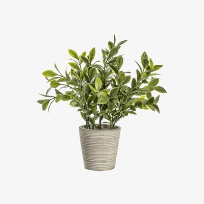 La Redoute 23cm Artificial Sage with Patterned Pot