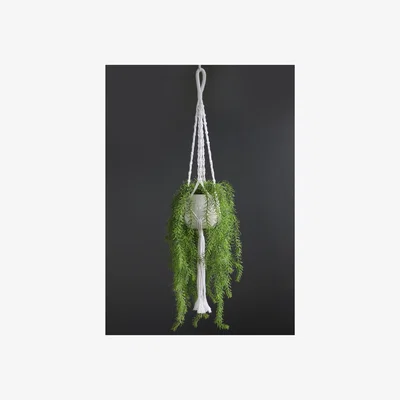La Redoute 51cm Artificial Trailing Rosemary in White Ceramic Pot & Macrame Hanger
