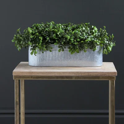 La Redoute 51cm Artificial Boxwood in Galv Pot