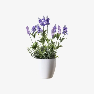 La Redoute 40cm Artificial Lavender Heritage