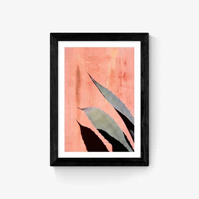 La Redoute Peach Cactus by Honeymoon Hotel