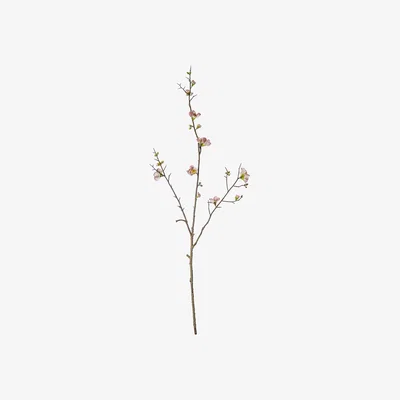 La Redoute Pack of 3 Pink Cherry Blossom Stems
