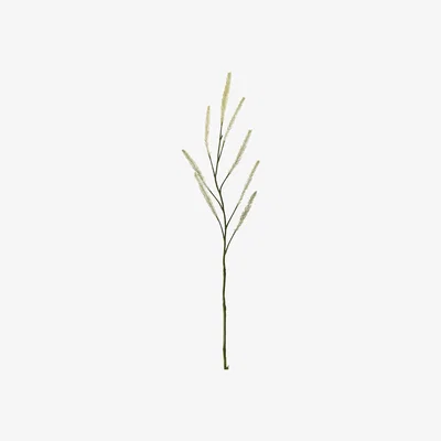 La Redoute Pack of 3 Cattail Spray