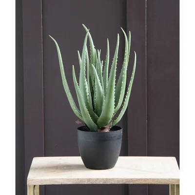 La Redoute 45cm Artificial Aloe Vera Plant