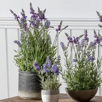 La Redoute 56cm Artificial Lavender In a Pot