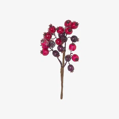La Redoute Pack of 3 Artificial Fat Red Berry Pick