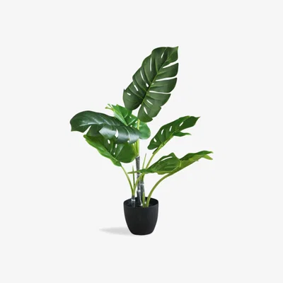 La Redoute 68cm Real Touch Artificial Monstera/Cheese Plant