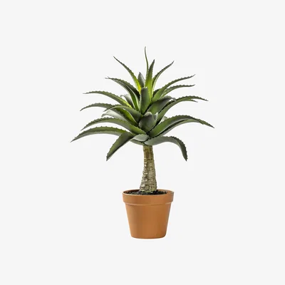 La Redoute 57cm Artificial Potted Agave