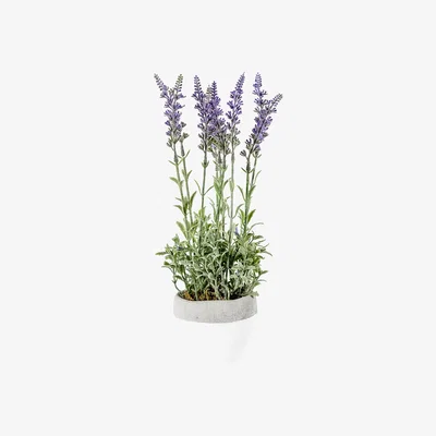 La Redoute 35cm Artificial Lavender In a Pot