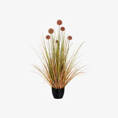 La Redoute 69cm Artificial Pom Pom Grass Pot