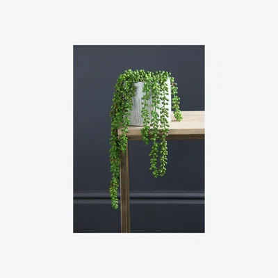 La Redoute 49cm Artificial Premium Trailing Succulent Plant
