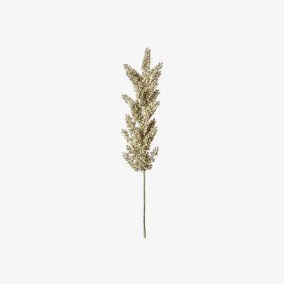 La Redoute Pack of 3 Astilbe Spray Dry Look