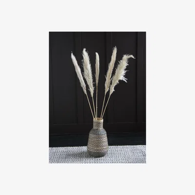 La Redoute 120cm Natural Dried Pampas Grass 5pc