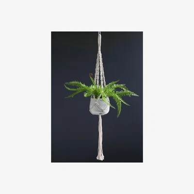 La Redoute 33cm Artificial Fern in Cement Pot & Macramé Hanger