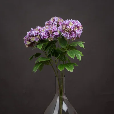La Redoute Artificial Vibrant Purple Viburnum Style Spray