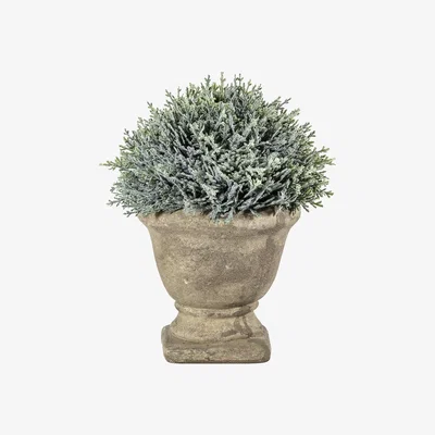 La Redoute 18cm Stone Effect Cypress Urn