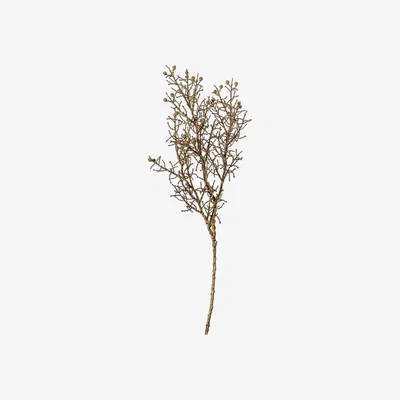 La Redoute Pack of 3 Artificial Cypress Spray Dry Look