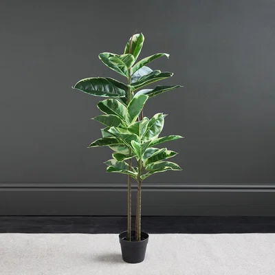 La Redoute 97cm Artificial Variegated Triple Stem Rubber Tree